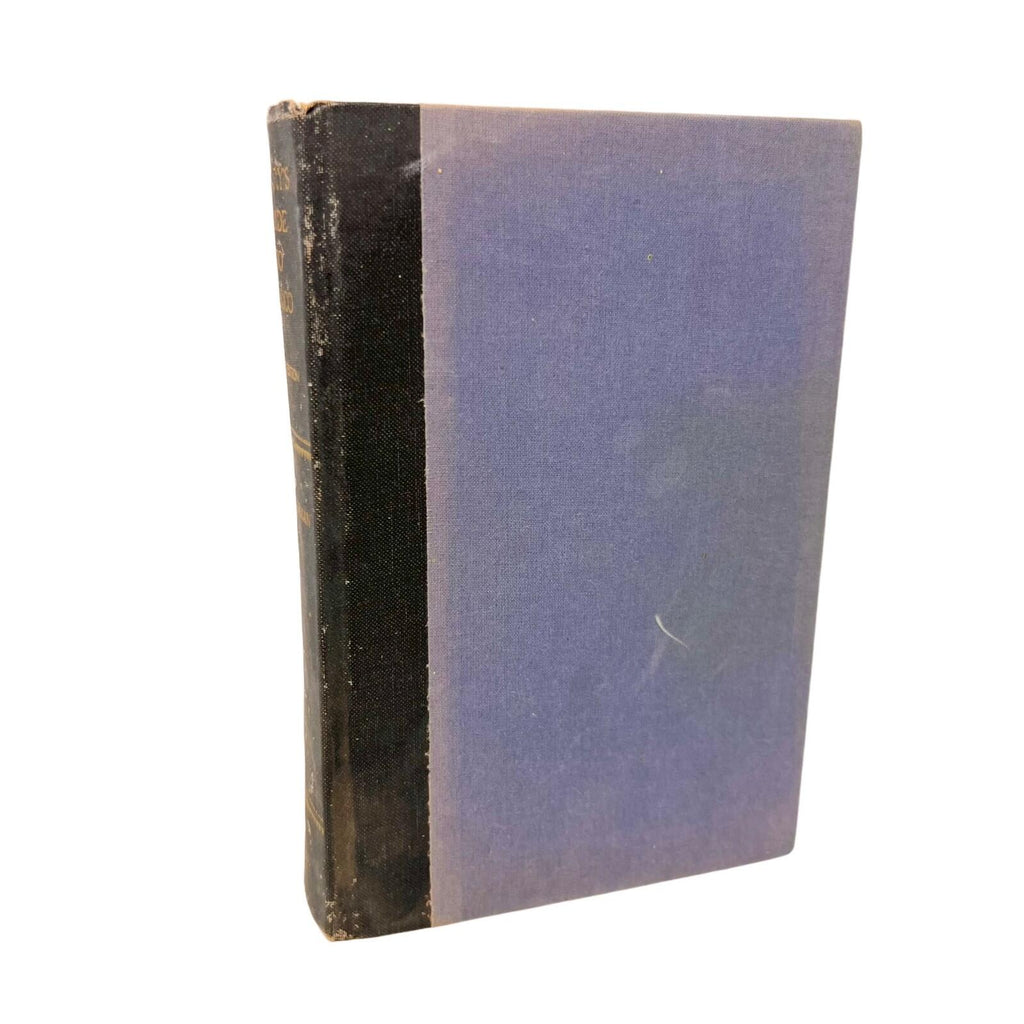 Terry's Guide to Mexico Hardcover Book By James Norman