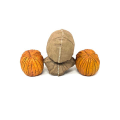 NECA Trick R Treat  Action Figure Ultimate Sam set of 3 Heads Only