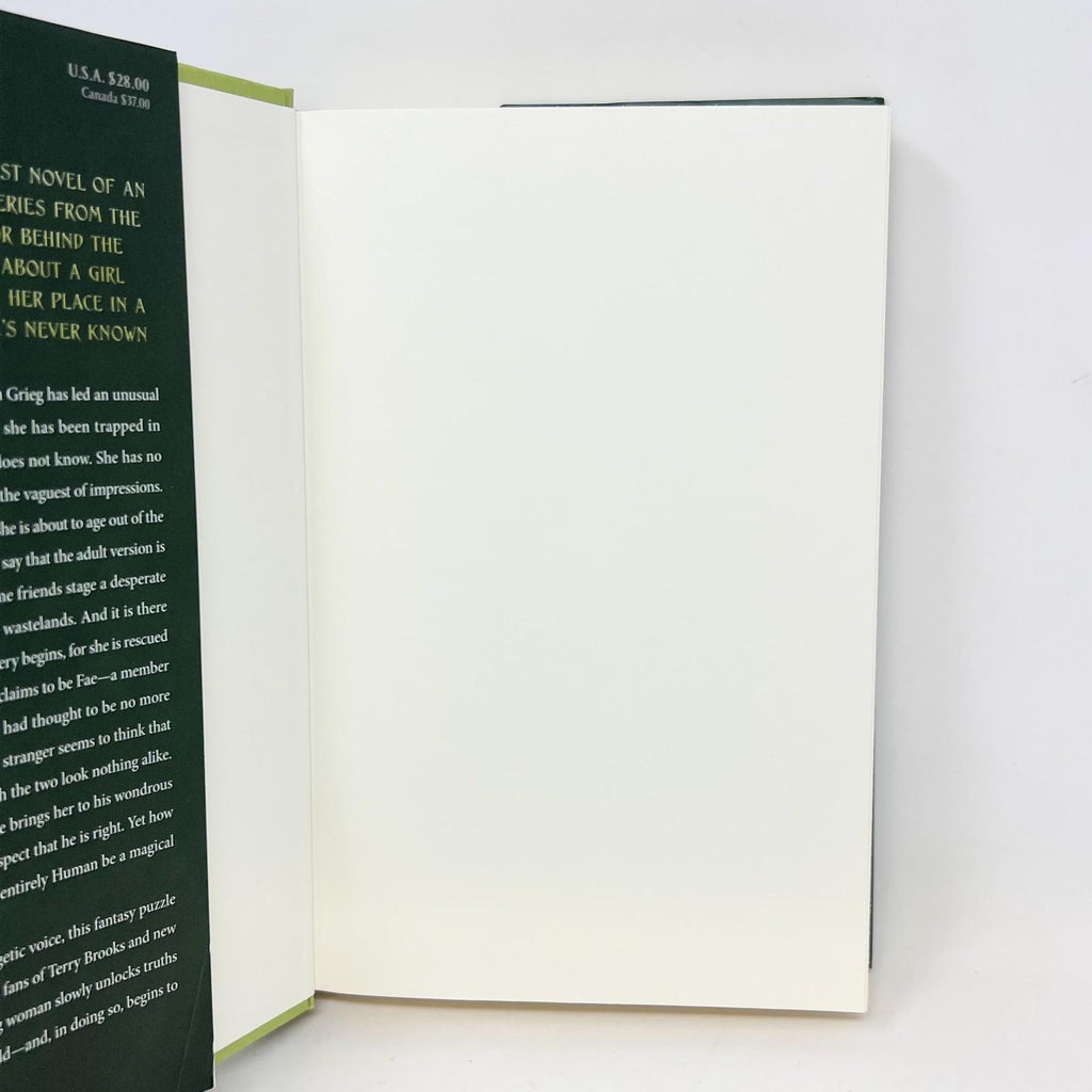 Child of Light by Terry Brooks  HardCover 1st print