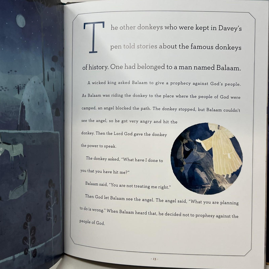 Donkey Who Carried a King by R. C. Sproul 2012, Hardcover)