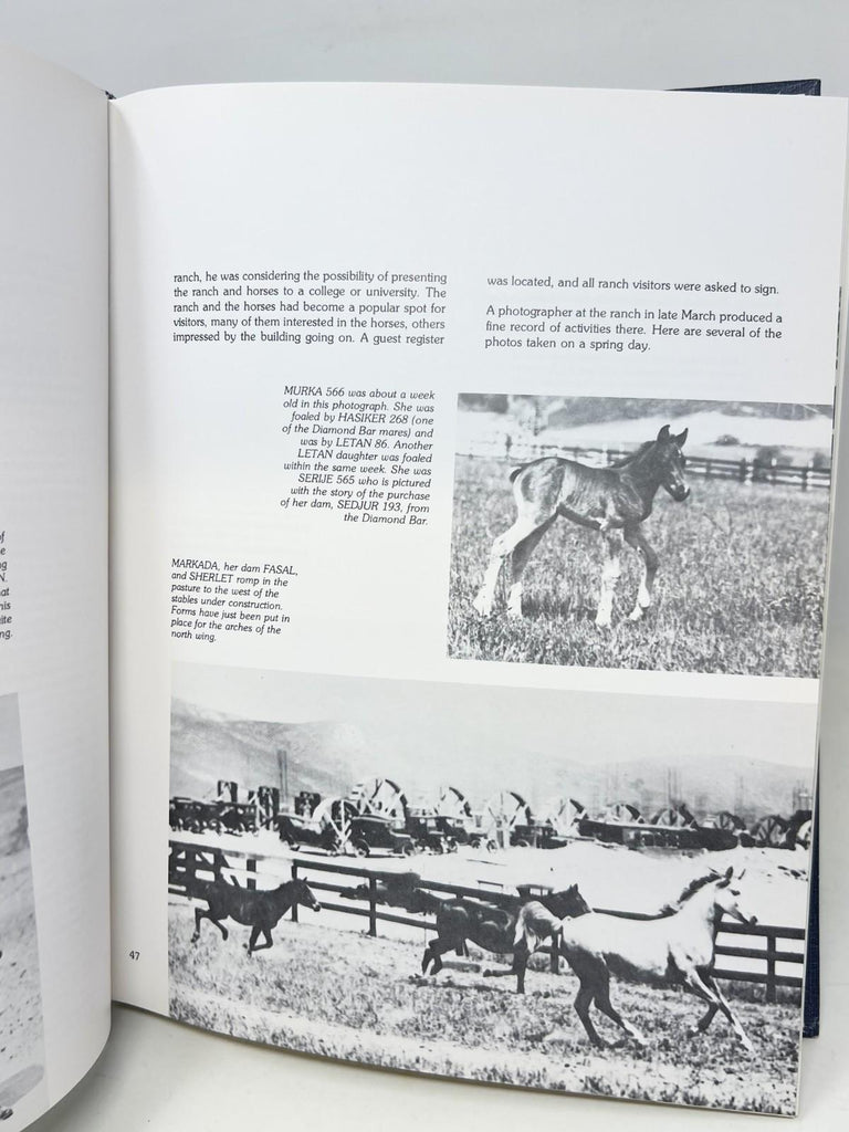1977 The Kellogg Arabian Horse Ranch the first 50 Years 1st Edition No. 440/1000