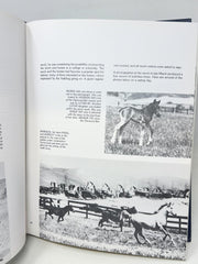 1977 The Kellogg Arabian Horse Ranch the first 50 Years 1st Edition No. 440/1000