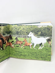 The Kellogg Arabian Ranch: A Celebration of the Kellogg Cal Poly Pomona Arabian