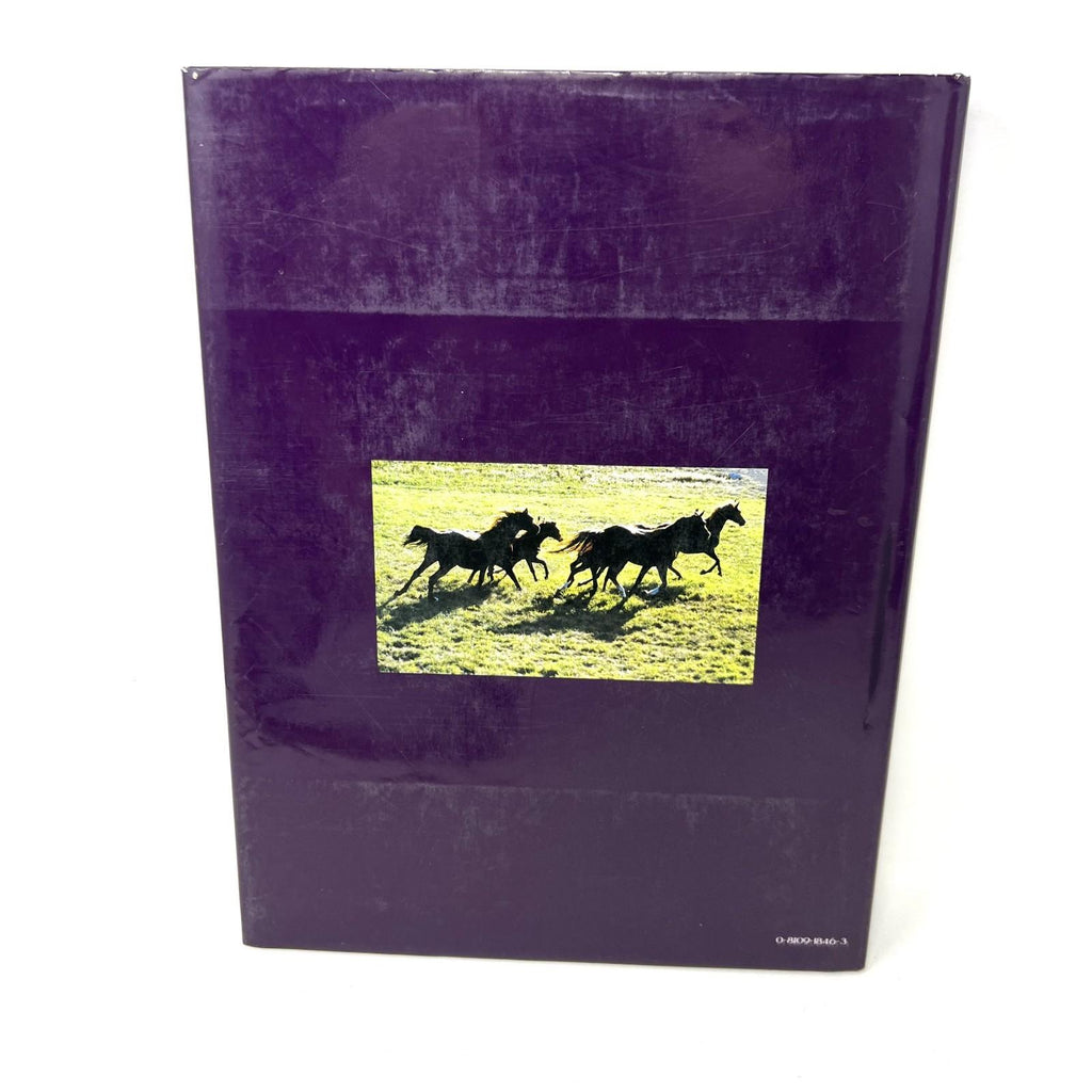 The Majestic World of Arabian Horses Hardcover Book