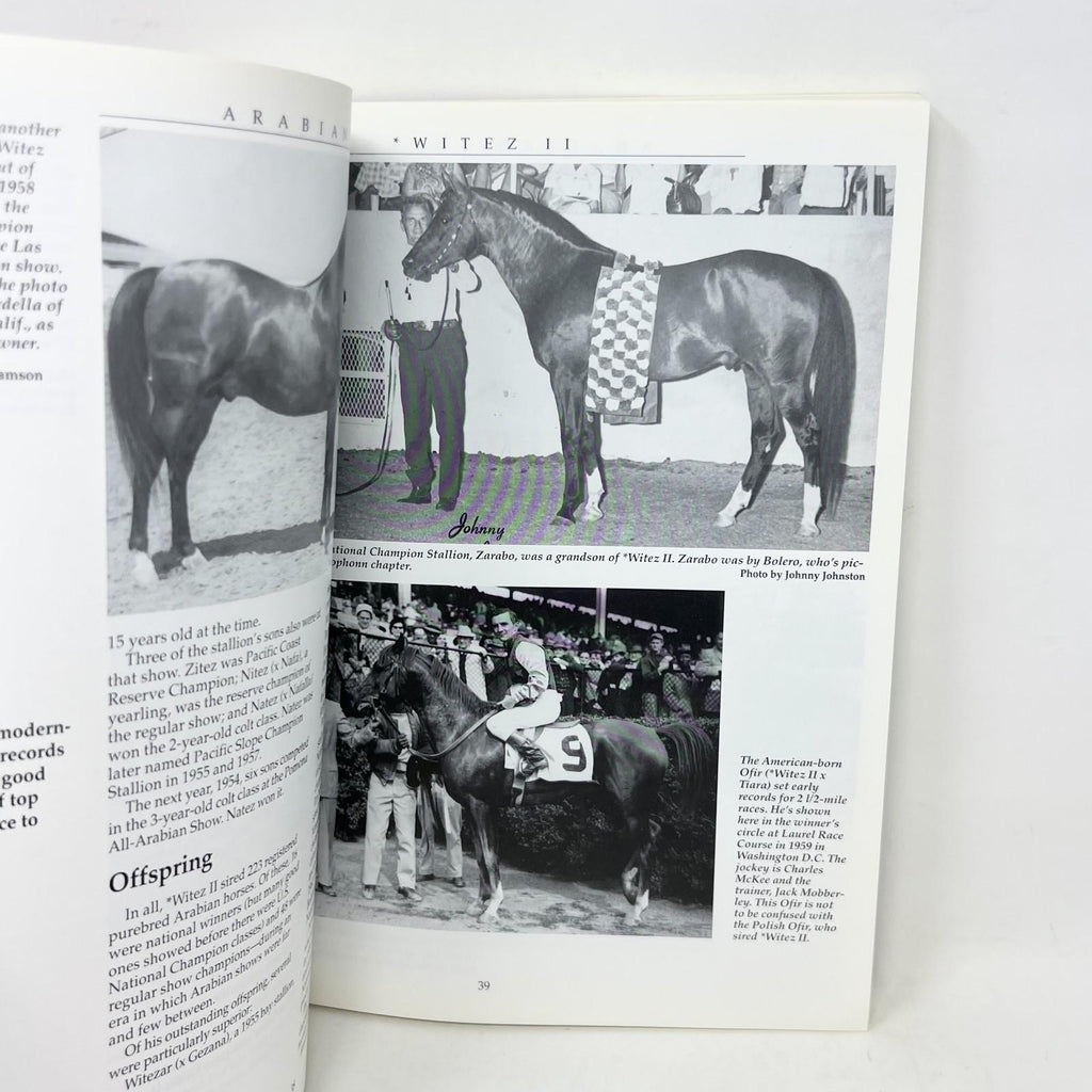 Arabian Legends: Outstanding Arabian Stallions and Mares by Carpenter, Marian