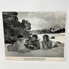1966 Born Bree Original  Movie Lobby Card Virginia McKenna Bill Travers