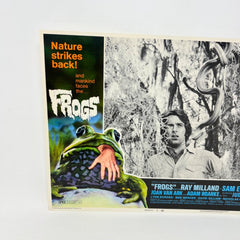 Nature Strikes Back Frogs Collectible Movie Lobby Card No.3