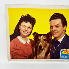 1949 Challenge To Lassie Movie Lobby Card (b)