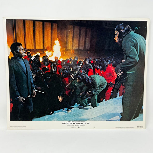1972 Conquest of The Planet Of The Apes Collectible movie Lobby Card No.6