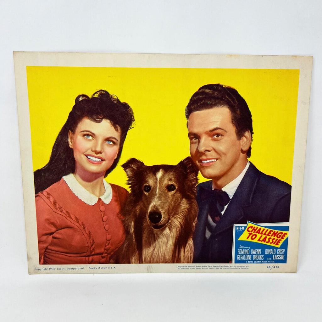 1949 Challenge To Lassie Movie Lobby Card (b)