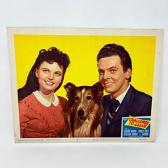 1949 Challenge To Lassie Movie Lobby Card (b)
