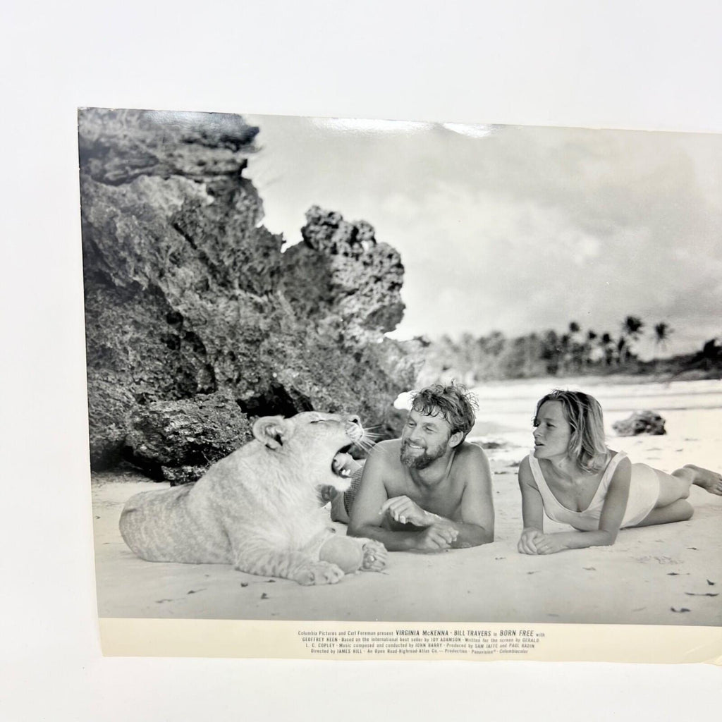 Born Free Original Original Movie Lobby card (a)