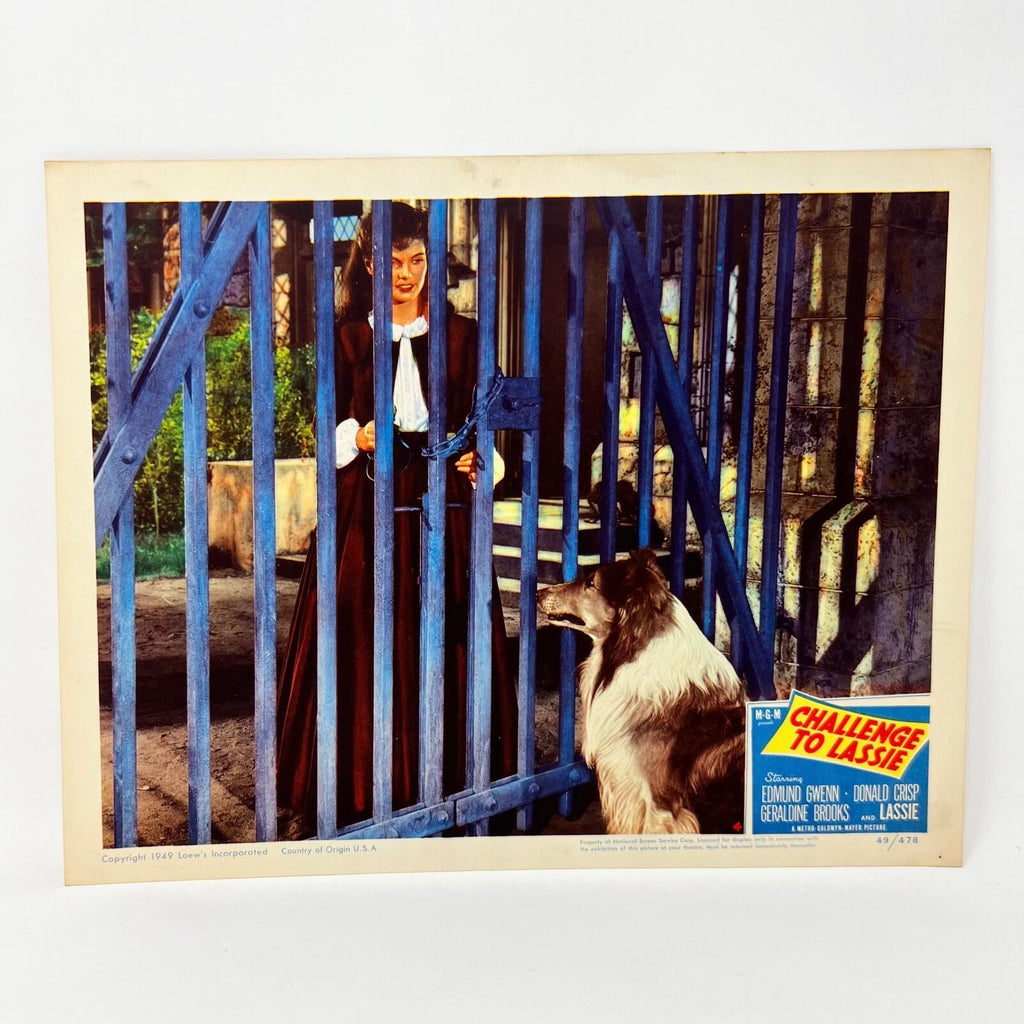 1949 Challenge To Lassie Movie Lobby Card (d)