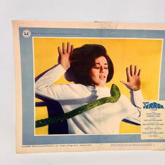 1966 Island Of Terror In Color Original Movie Lobby Card No.5