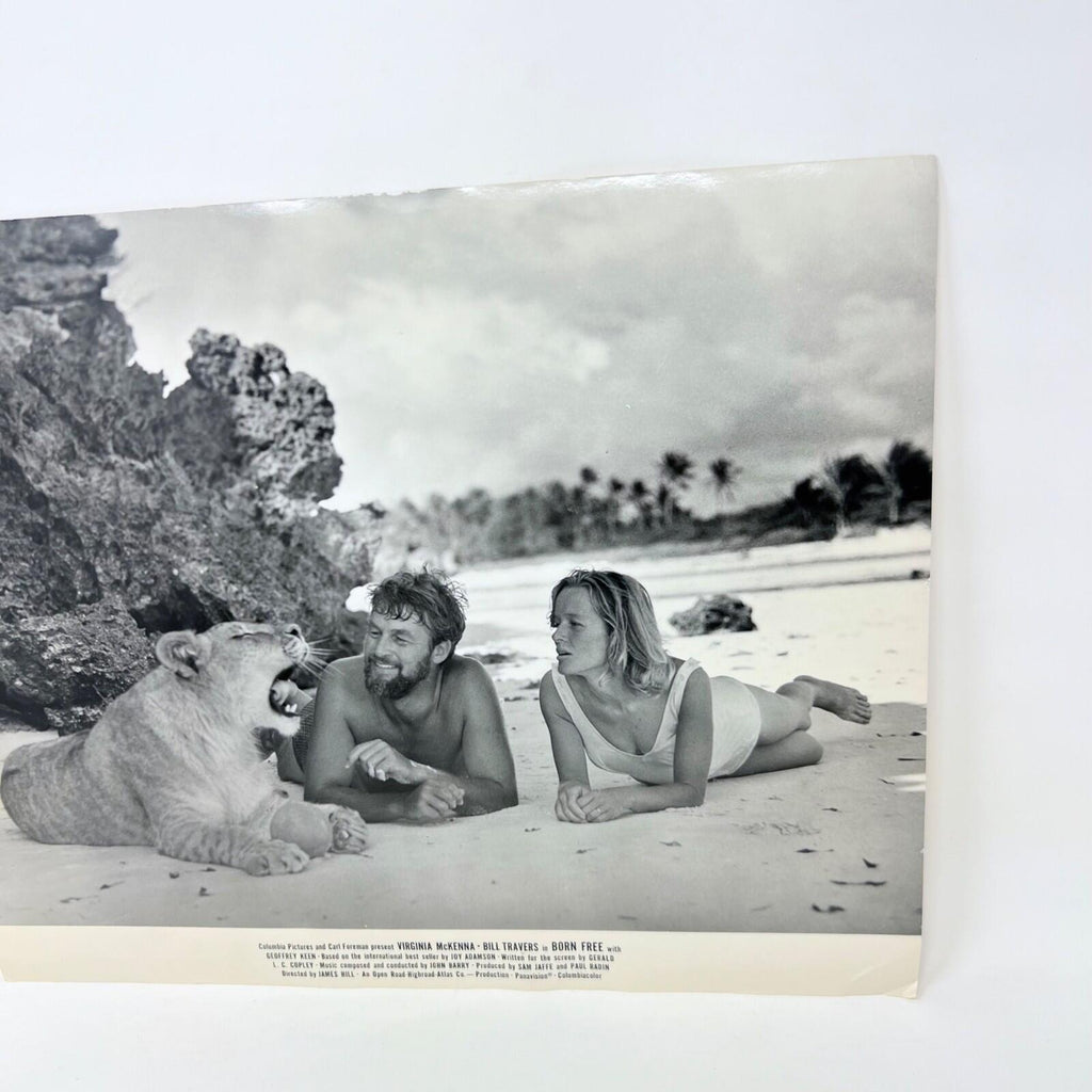 Born Free Original Original Movie Lobby card (a)