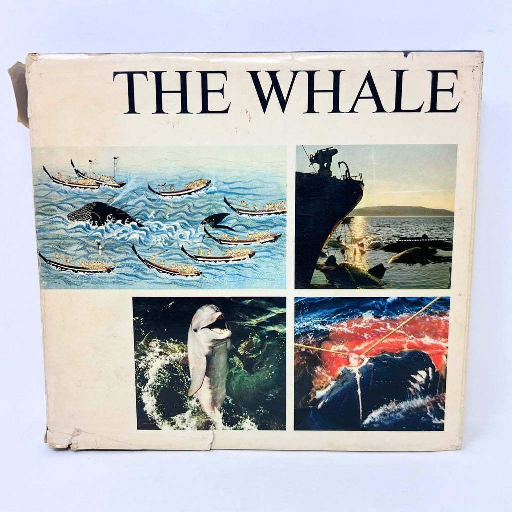 1968 The Whale Simon and Schuster Hardcover First Pringint