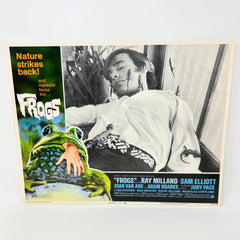 Nature Strikes Back Frogs Collectible Movie Lobby Card No.5