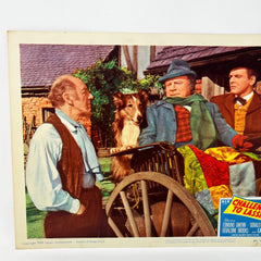 1949 Challenge To Lassie Movie Lobby Card (g)