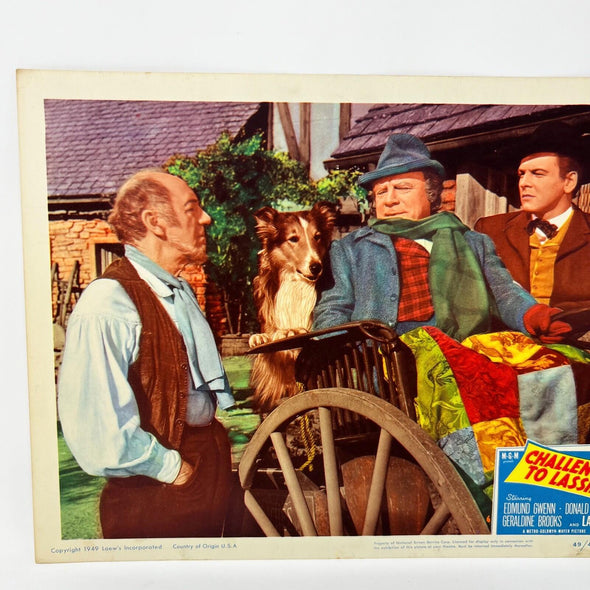 1949 Challenge To Lassie Movie Lobby Card (g)