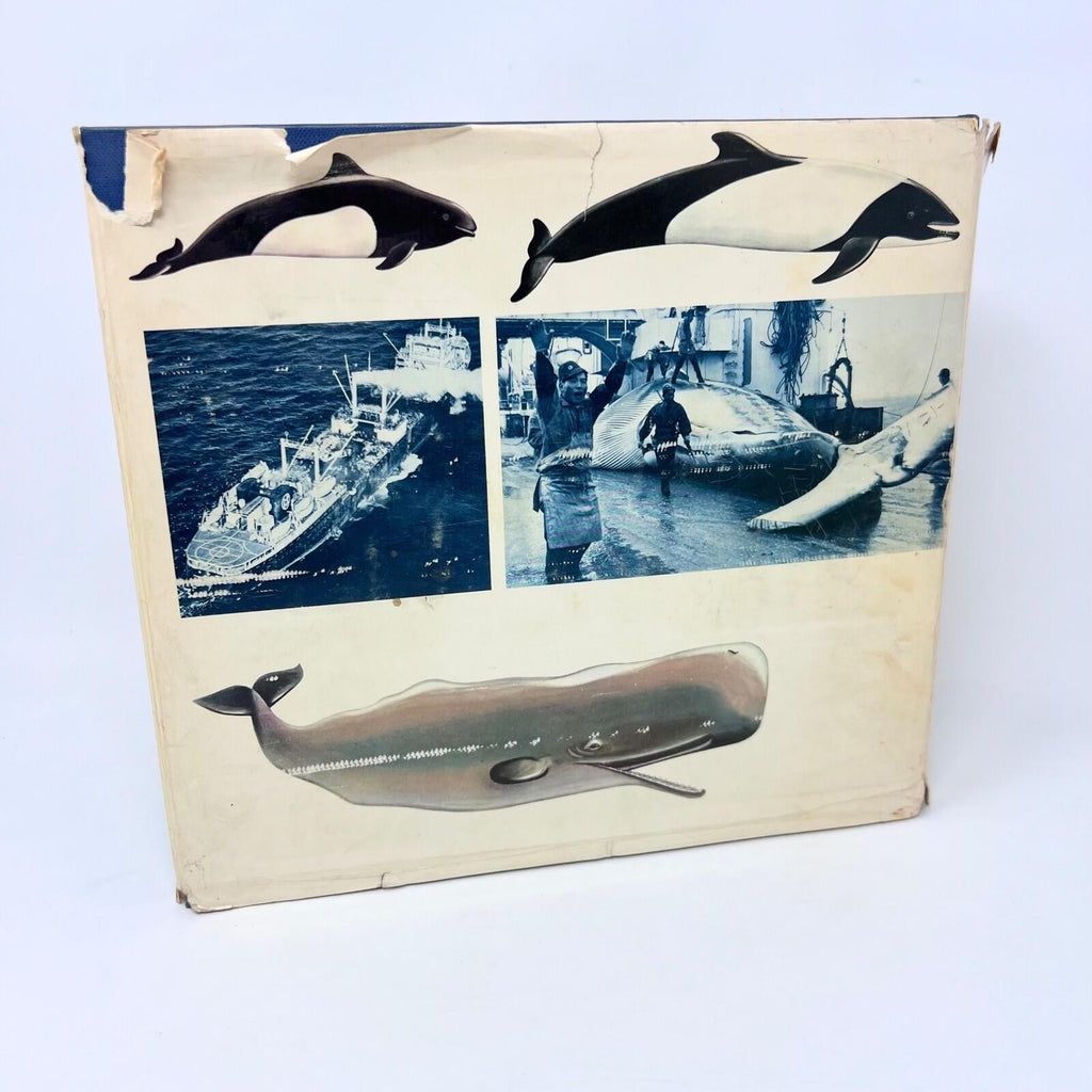 1968 The Whale Simon and Schuster Hardcover First Pringint