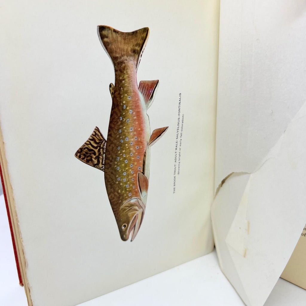 1914 Trout Fly-Fishing In America Charles Zibeon Southard