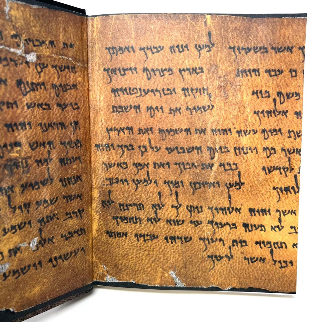 The Last Days of Jesus: His Life and Times - Hardcover By O'Reilly, Bill