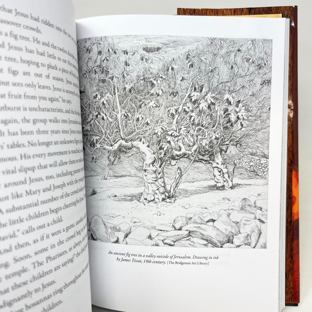 The Last Days of Jesus: His Life and Times - Hardcover By O'Reilly, Bill