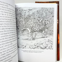 The Last Days of Jesus: His Life and Times - Hardcover By O'Reilly, Bill