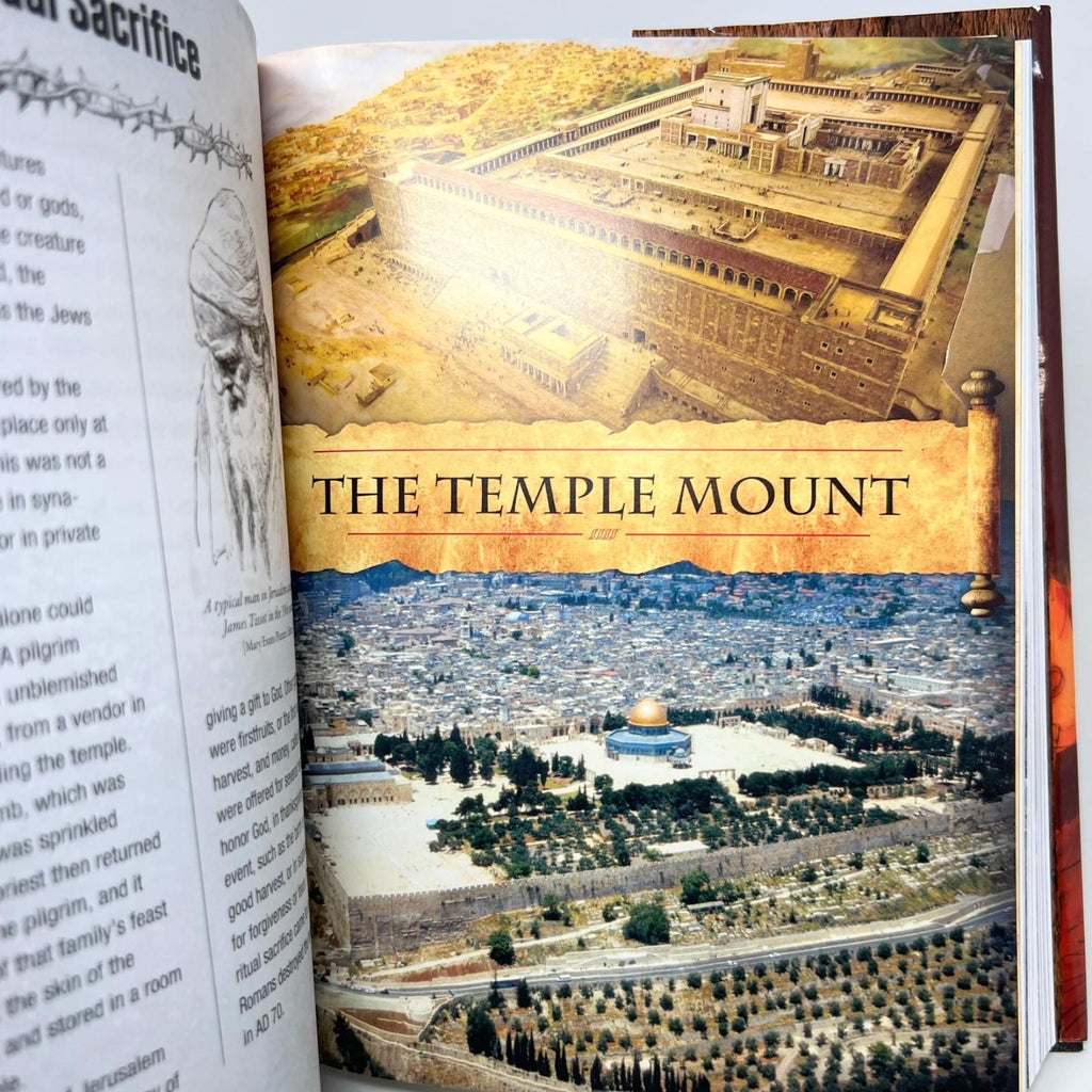 The Last Days of Jesus: His Life and Times - Hardcover By O'Reilly, Bill