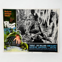 Nature Stikes Back Frogs Collectible movie Lobby Card Set of 8