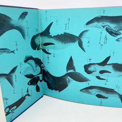1968 The Whale Simon and Schuster Hardcover First Pringint