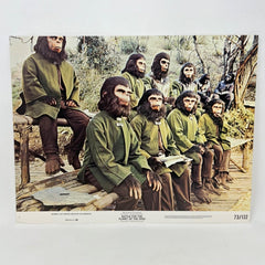 1973 Battle For The Planet Of The Apes Collectible Movie Lobby Card No.7