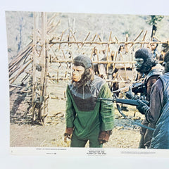 1973 Battle For The Planet Of The Apes Collectible Movie Lobby Card No.7