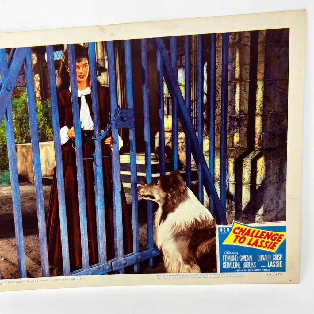 1949 Challenge To Lassie Movie Lobby Card (d)
