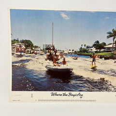 1984 Where the Boys Are Lobby Card Movie Poster No.1