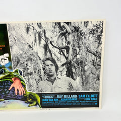 Nature Strikes Back Frogs Collectible Movie Lobby Card No.3
