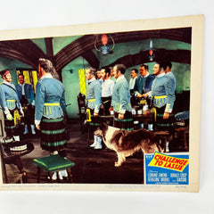 1949 Challenge To Lassie Movie Lobby Card (c)