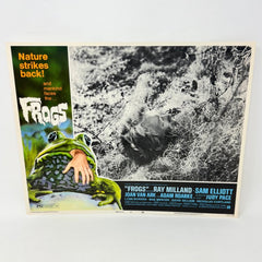 Nature Strikes Back Frogs Collectible Movie Lobby Card No.8