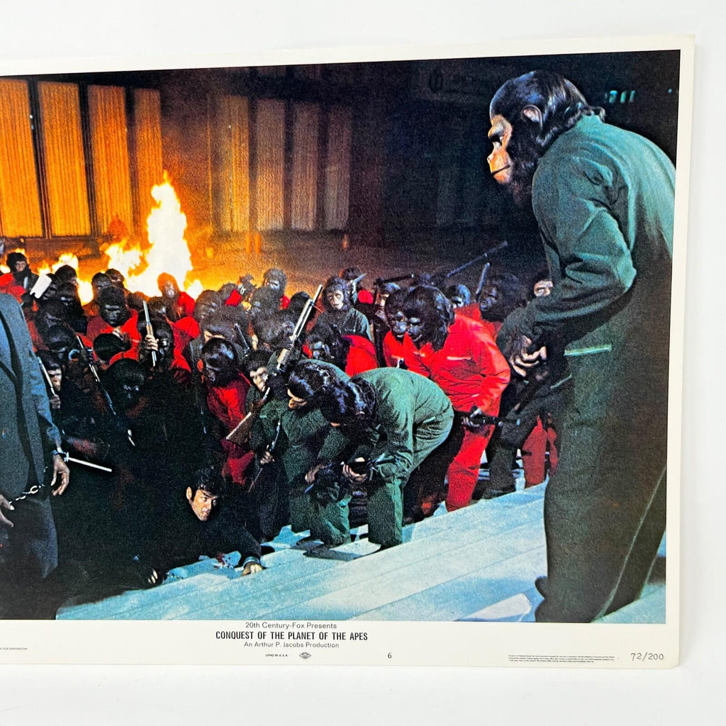 1972 Conquest of The Planet Of The Apes Collectible movie Lobby Card No.6