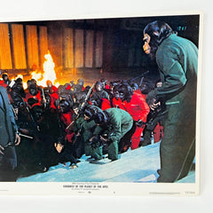 1972 Conquest of The Planet Of The Apes Collectible movie Lobby Card No.6