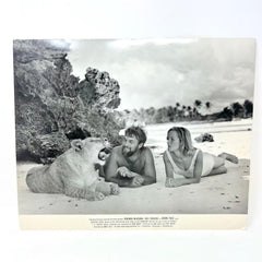 Born Free Original Original Movie Lobby card (a)