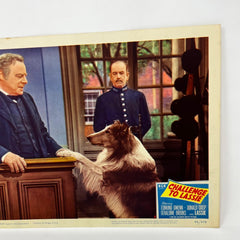 1949 Challenge To Lassie Movie Lobby Card (h)