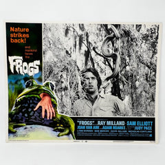 Nature Stikes Back Frogs Collectible movie Lobby Card Set of 8