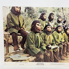 1973 Battle For The Planet Of The Apes Collectible Movie Lobby Card No.7