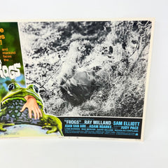 Nature Strikes Back Frogs Collectible Movie Lobby Card No.8