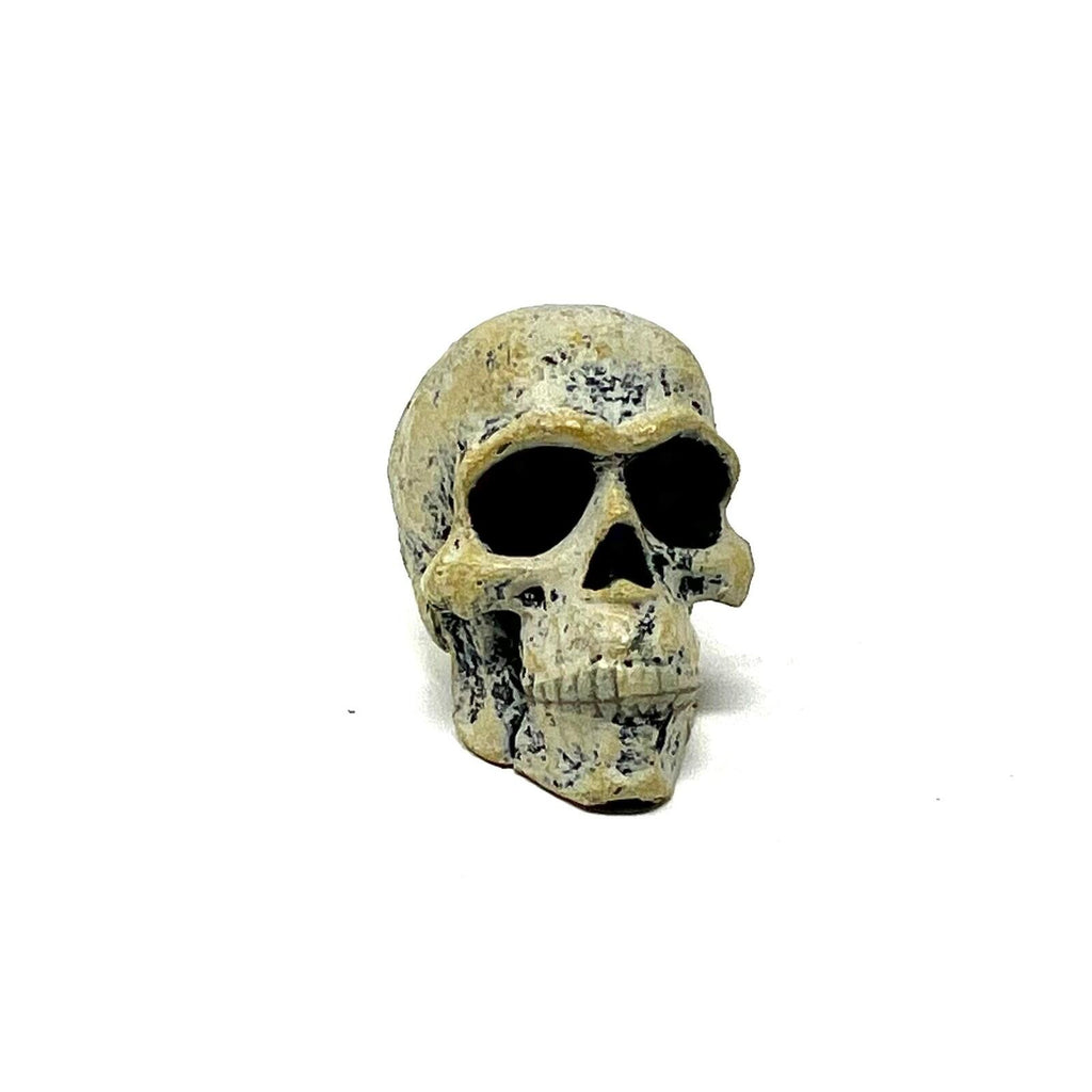 Neca Teenage Mutant Ninja Turtles  Leonardo Hunchback Skull Loose Only