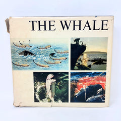 1968 The Whale Simon and Schuster Hardcover First Pringint