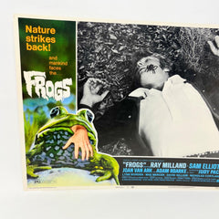 Nature Strikes Back Frogs Collectible Movie Lobby Card No.2