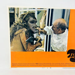 1970 Trog Collectible Movie Lobby Card No.3 Warner Bros. a Herman Hohen