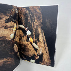 Prada Jewels Collection Accessory Book